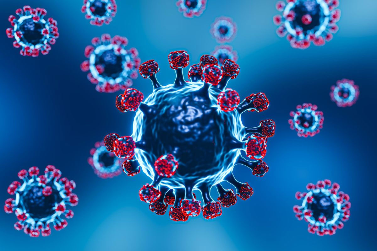 virus-nipah,-penyakit-infeksi-emerging-yang-menjadi-perhatian-global-–-times-banyuwangi