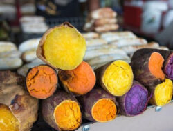 Mengupas Warna Warni Ubi dan Manfaatnya – TIMES Banyuwangi