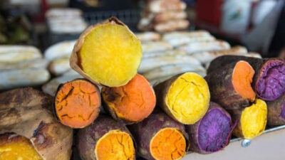 mengupas-warna-warni-ubi-dan-manfaatnya-–-times-banyuwangi