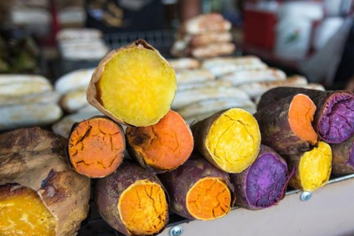 mengupas-warna-warni-ubi-dan-manfaatnya-–-times-banyuwangi