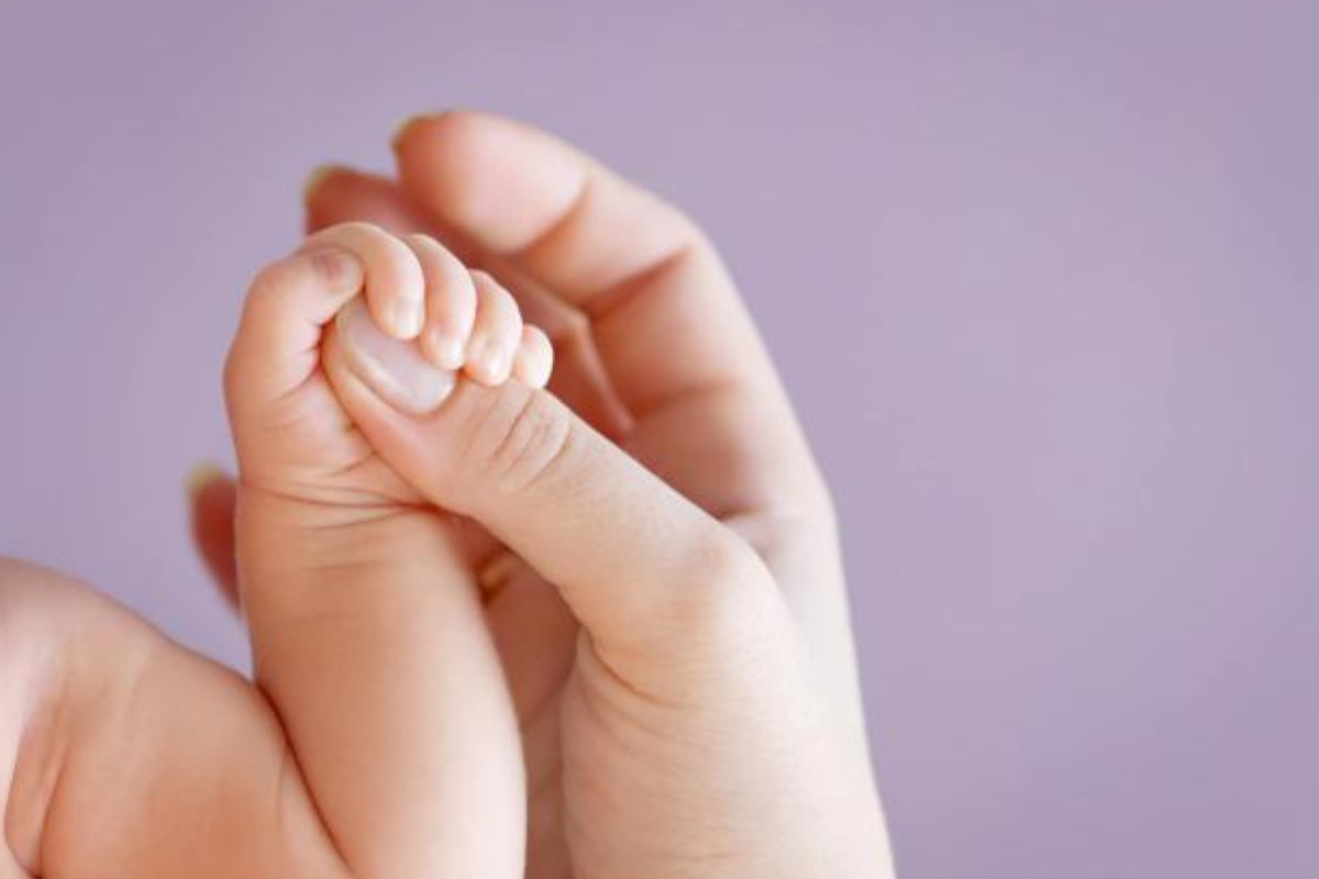 mengenal-mitokondria,-sel-warisan-ibu-yang-tak-pernah-pergi-–-times-banyuwangi