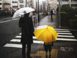 BMKG: Sebagian Besar Wilayah Indonesia Berpotensi Hujan Ringan – TIMES Banyuwangi