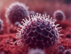 INFO GRAFIK: Mengenal Penyebab, Gejala dan Penyebaran Virus Nipah – TIMES Banyuwangi