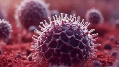 info-grafik:-mengenal-penyebab,-gejala-dan-penyebaran-virus-nipah-–-times-banyuwangi