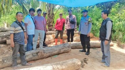 pembalakan-liar-marak,-polhutmob-temukan-33-batang-kayu-jati-ilegal-di-siliragung-banyuwangi