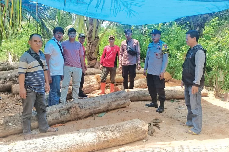 pembalakan-liar-marak,-polhutmob-temukan-33-batang-kayu-jati-ilegal-di-siliragung-banyuwangi