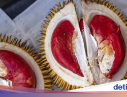 5 Fakta Durian Merah Banyuwangi, Buah Indonesia yang Raih Indikasi Geografis