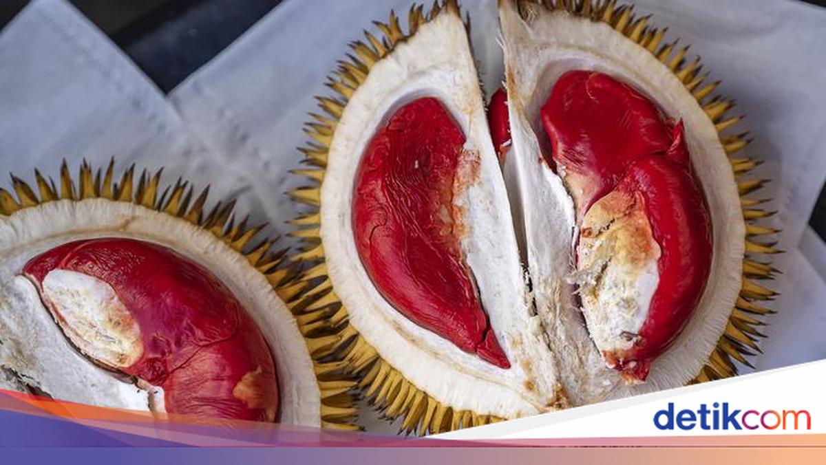 5-fakta-durian-merah-banyuwangi,-buah-indonesia-yang-raih-indikasi-geografis