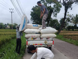 Perkuat Ketahanan Pangan, Bulog Cianjur Targetkan Serapan Gabah dan Beras Naik – TIMES Banyuwangi