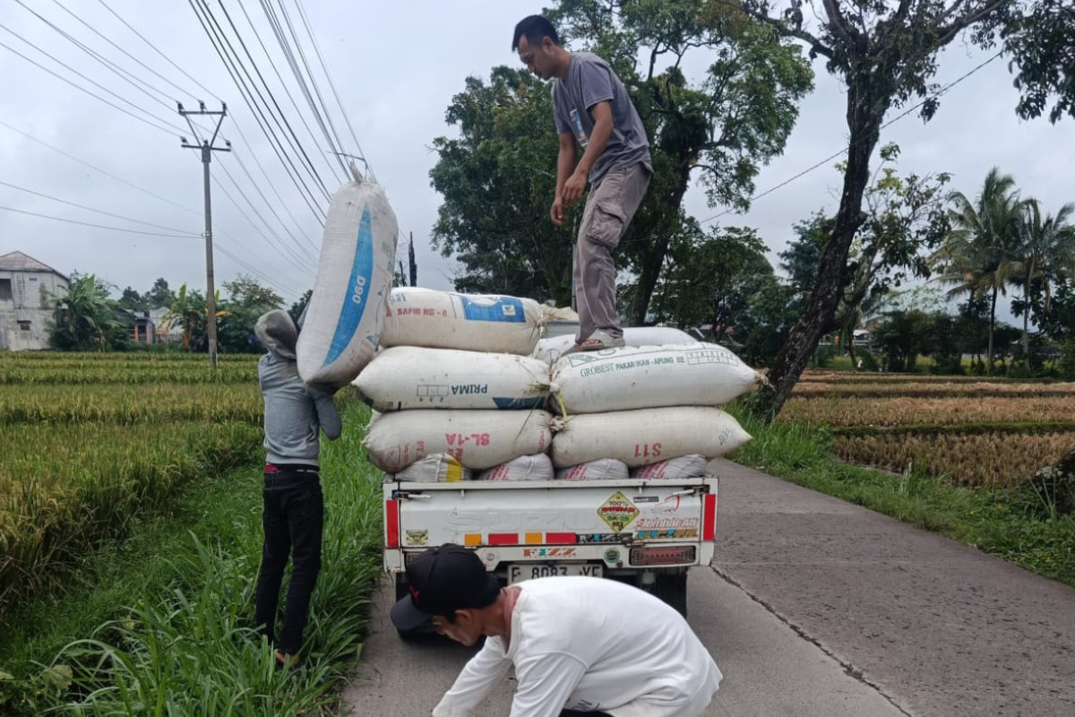 perkuat-ketahanan-pangan,-bulog-cianjur-targetkan-serapan-gabah-dan-beras-naik-–-times-banyuwangi