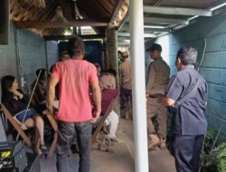 Satpol PP Banyuwangi Tutup Karaoke Berkedok Warung di Tegalarum Sempu Usai Dikeluhkan Warga