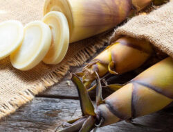 Ilmuwan Inggris Ajukan Rebung sebagai Superfood – TIMES Banyuwangi