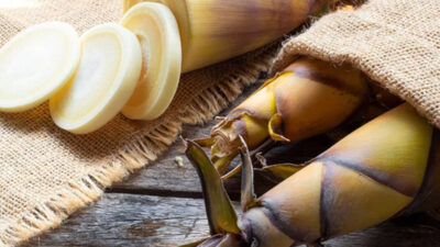 ilmuwan-inggris-ajukan-rebung-sebagai-superfood-–-times-banyuwangi