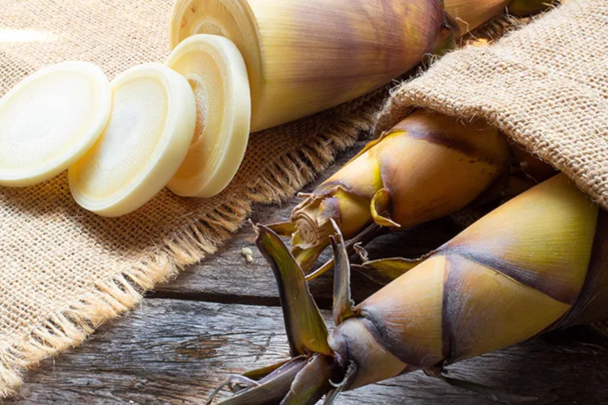 ilmuwan-inggris-ajukan-rebung-sebagai-superfood-–-times-banyuwangi