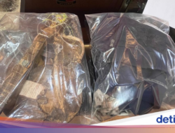 Pria di Banyuwangi Tewas Dikeroyok Anak Jalanan Diduga Dipukuli Ukulele