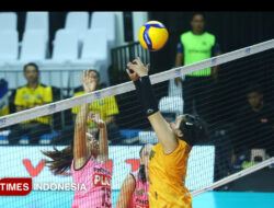 Proliga 2026, Jakarta Popsivo Polwan Patahkan Rekor Sempurna Gresik Phonska Plus – TIMES Banyuwangi