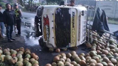 as-roda-patah,-pikap-bermuatan-kelapa-terguling-di-jalan-gatot-subroto-kalipuro-banyuwangi