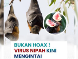 RSUD Pandega Pangandaran Imbau Masyarakat Tetap Waspadai Virus Nipah – TIMES Banyuwangi