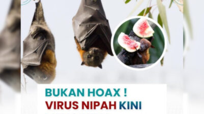 rsud-pandega-pangandaran-imbau-masyarakat-tetap-waspadai-virus-nipah-–-times-banyuwangi