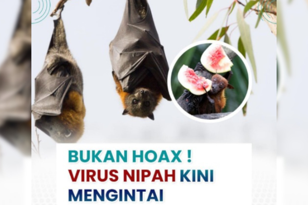 rsud-pandega-pangandaran-imbau-masyarakat-tetap-waspadai-virus-nipah-–-times-banyuwangi