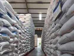 Stok Beras Banyuwangi Aman Untuk Bulan Puasa dan Lebaran