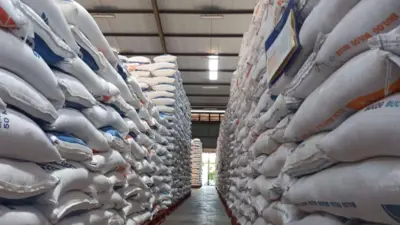 stok-beras-banyuwangi-aman-untuk-bulan-puasa-dan-lebaran