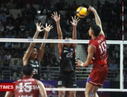 Proliga 2026, LavAni Unjuk Ketangguhan dengan Bekuk Garuda Jaya Tiga Set Langsung – TIMES Banyuwangi