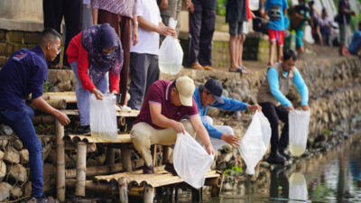 ribuan-bibit-ikan-kembali-ke-habitat-asli,-upaya-pemkot-probolinggo-pulihkan-ranu-sentong-–-times-banyuwangi