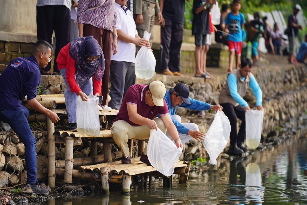 ribuan-bibit-ikan-kembali-ke-habitat-asli,-upaya-pemkot-probolinggo-pulihkan-ranu-sentong-–-times-banyuwangi