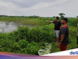 Hanya Berselang 2 Hari, Bekas Galian C di Banyuwangi Kembali Makan Korban