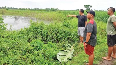 kolam-bekas-galian-c-di-blimbingsari-banyuwangi-kembali-makan-korban,-lansia-ditemukan-tewas-mengapung