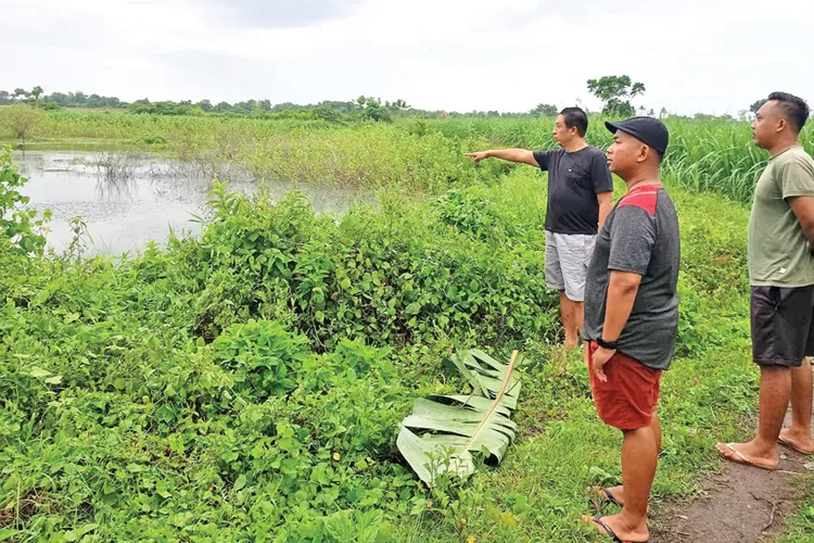 kolam-bekas-galian-c-di-blimbingsari-banyuwangi-kembali-makan-korban,-lansia-ditemukan-tewas-mengapung