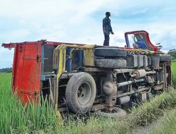 Truk Terguling di Persawahan Muncar Banyuwangi, Evakuasi 6 Jam Gunakan Excavator