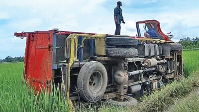 truk-terguling-di-persawahan-muncar-banyuwangi,-evakuasi-6-jam-gunakan-excavator