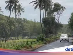 Hampir 10 Tahun Rusak, Jalan Lampon Banyuwangi Kini Mulus