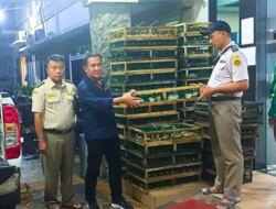 Ribuan Burung Madu Pengantin Diselundupkan ke Surabaya Digagalkan Polisi, 292 Ekor Mati Saat Pengiriman