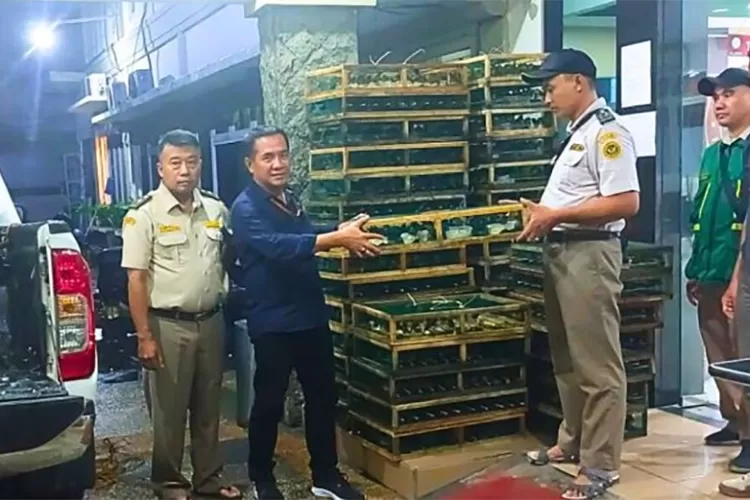 ribuan-burung-madu-pengantin-diselundupkan-ke-surabaya-digagalkan-polisi,-292-ekor-mati-saat-pengiriman