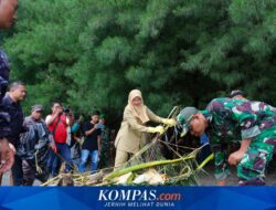 Sampah Kiriman Berbentuk Potongan Kayu Kepung Kawasan Pantai Banyuwangi