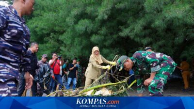 sampah-kiriman-berbentuk-potongan-kayu-kepung-kawasan-pantai-banyuwangi