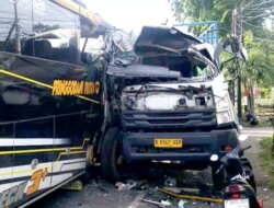 Kecelakaan Maut di Jalan Raya Situbondo Wongsorejo Banyuwangi, Bus Pringgondani Adu Moncong dengan Truk Fuso, Sopir Tewas