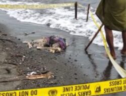 Geger di Kampung Lobster, Potongan Tubuh Manusia Ditemukan di Pesisir Bangsring