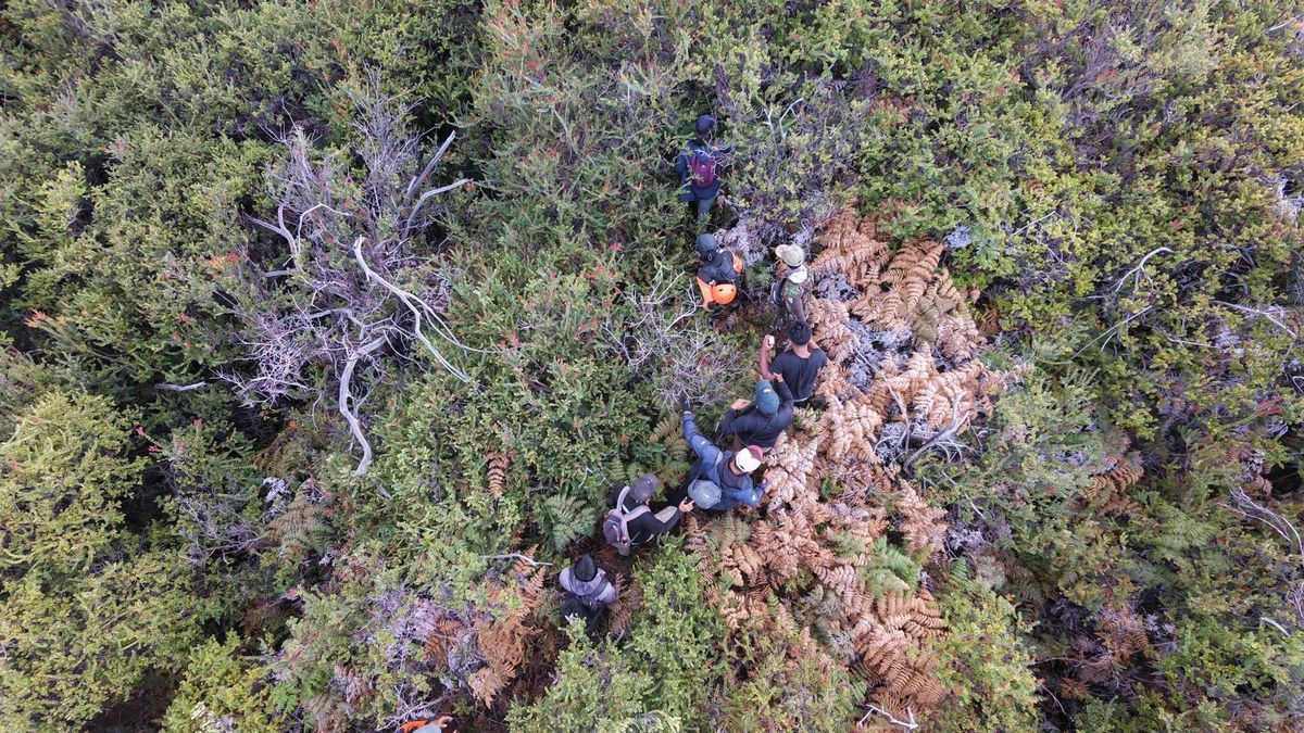 panduan-aman-mendaki-kawah-ijen:-tips-dari-guide-profesional-dan-aturan-buang-hajat