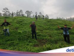 Ngabuburit Sambil Tanam 1.447 Pohon di Lereng Gunung Raung