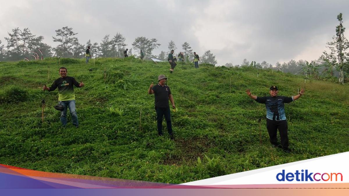 ngabuburit-sambil-tanam-1.447-pohon-di-lereng-gunung-raung