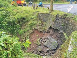 Longsor Plengsengan Gunung Gumitir Banyuwangi, BPBD Imbau Pengendara Waspada di Tikungan KM 236-750