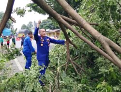Cuaca Ekstrem Banyuwangi, Sat Polairud Polresta Sigap Evakuasi Pohon Tumbang di Jalur Nasional