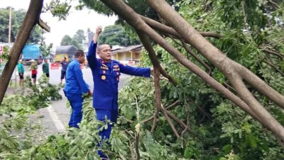 cuaca-ekstrem-banyuwangi,-sat-polairud-polresta-sigap-evakuasi-pohon-tumbang-di-jalur-nasional