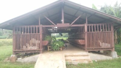 gaji-tak-dibayar,-program-ketahanan-pangan-desa-sumberkencono-diduga-disulap-jadi-ladang-pribadi-sekdes