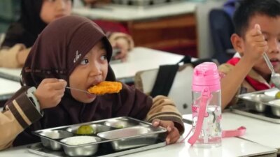 bgn-luruskan-isu-dana-mbg,-dampaknya-ke-petani-mengejutkan