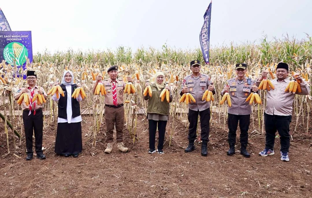 panen-raya-jagung-kuartal-iv-di-banyuwangi,-menuju-kedaulatan-pangan